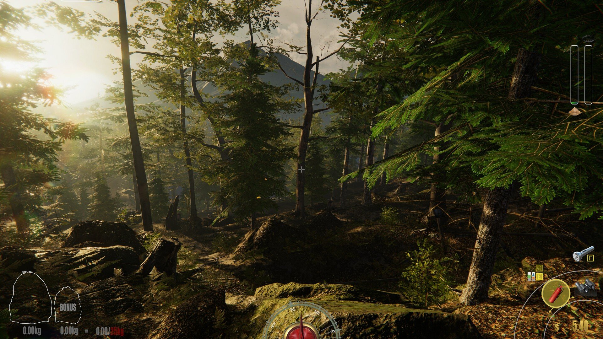巫师3：狂猎 年度版 截图21