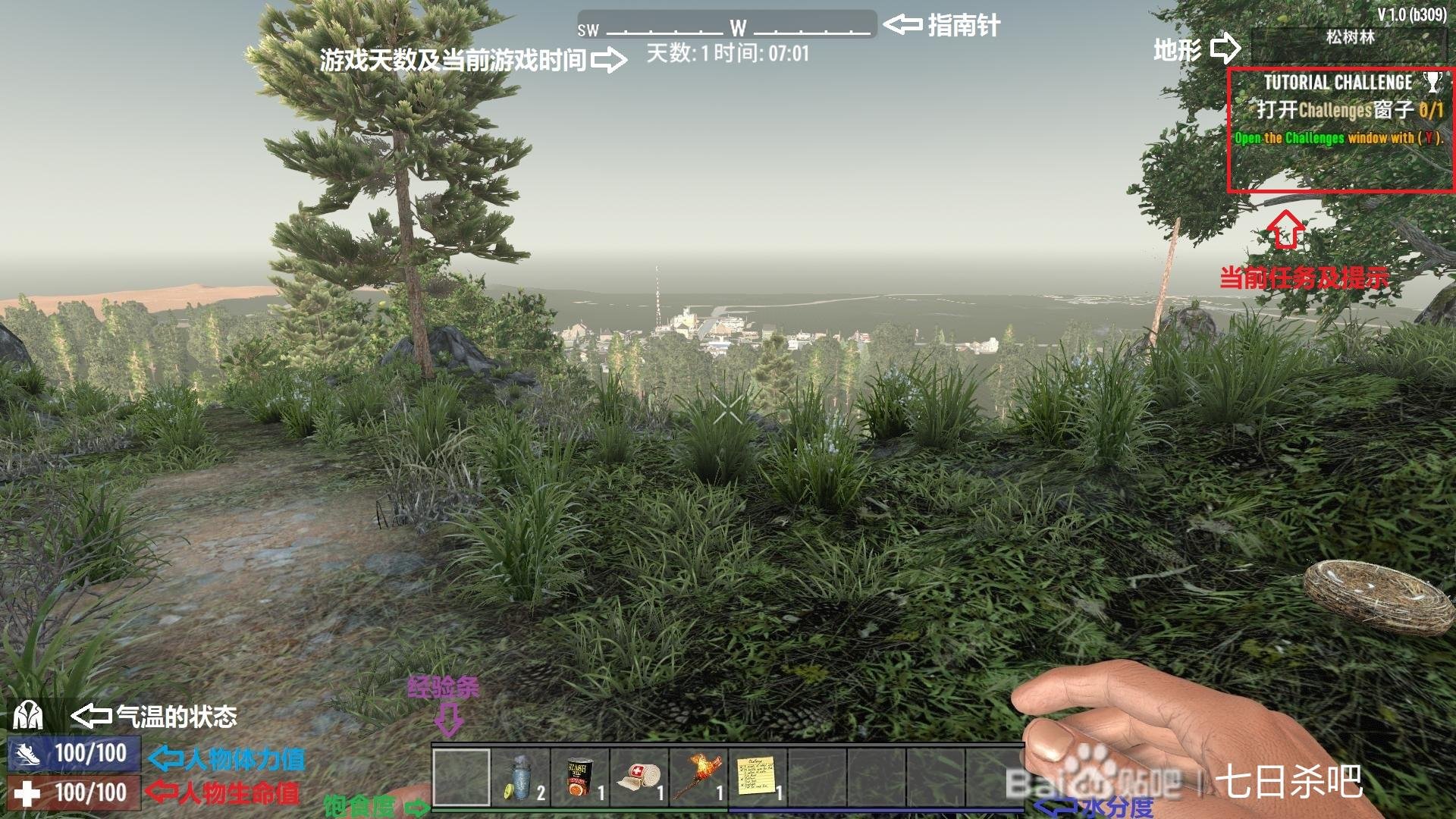 空洞骑士 豪华版 截图12